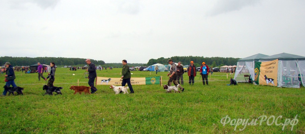 DSC02386.JPG