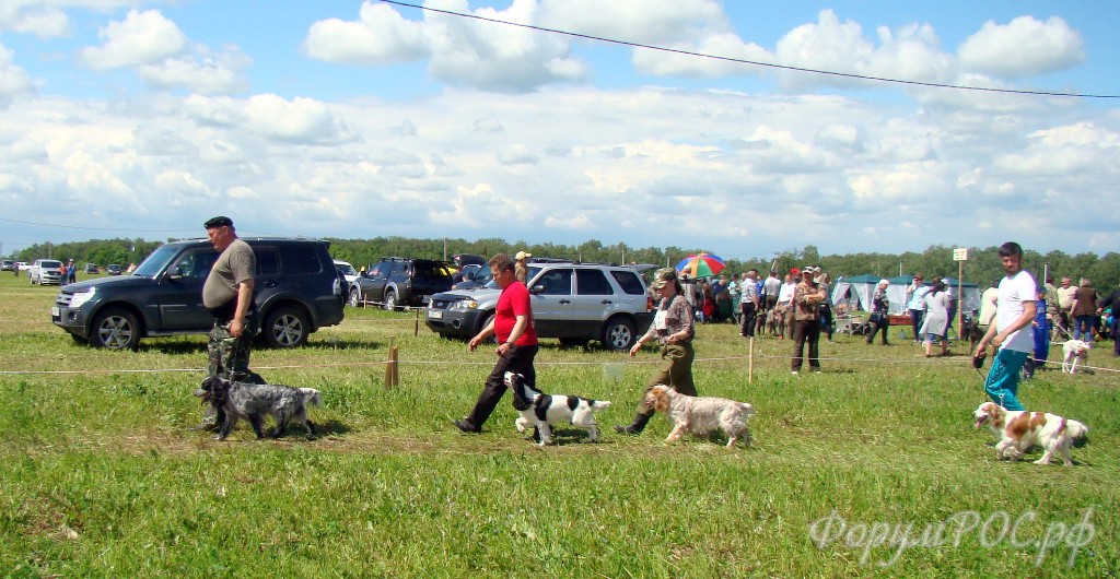 DSC02396.JPG