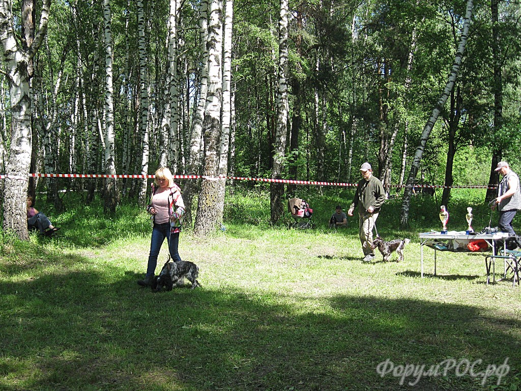 IMG_3707.JPG