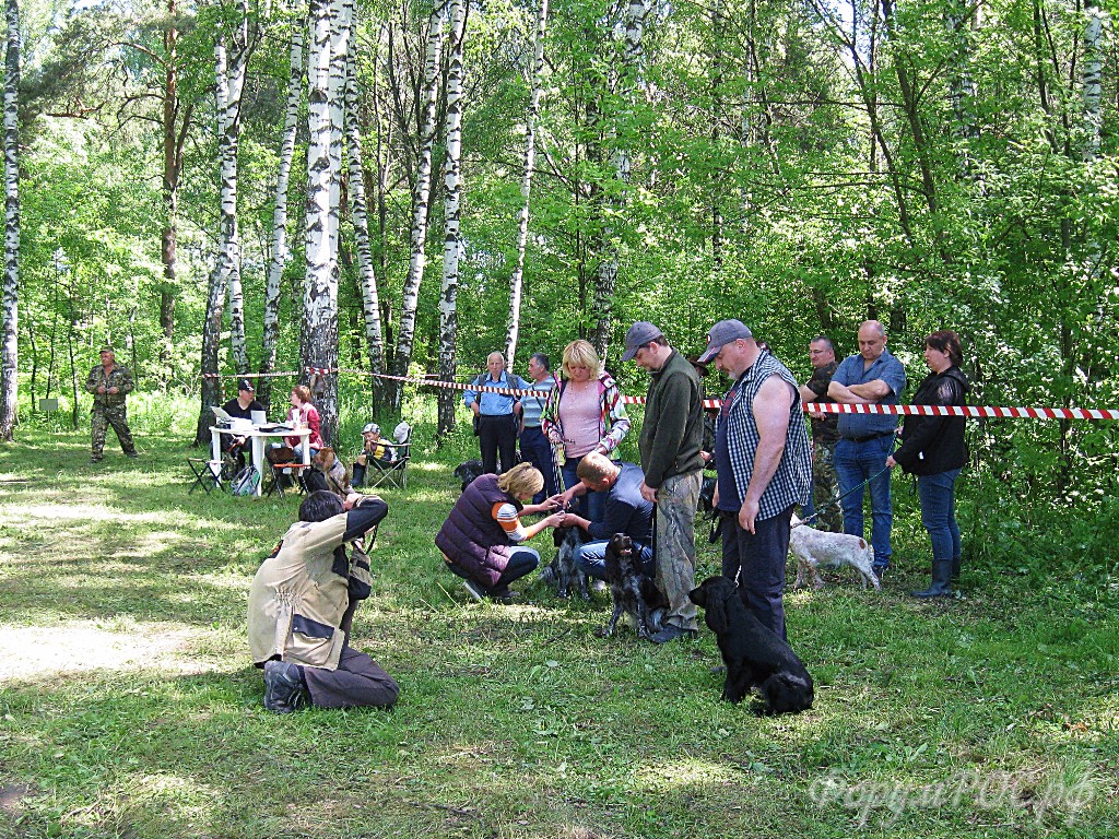 IMG_3712.JPG