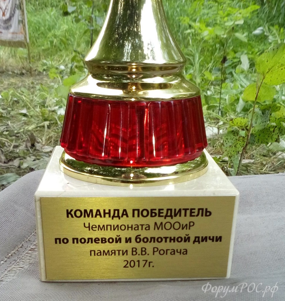 IMG-20170716-WA0010.jpeg
