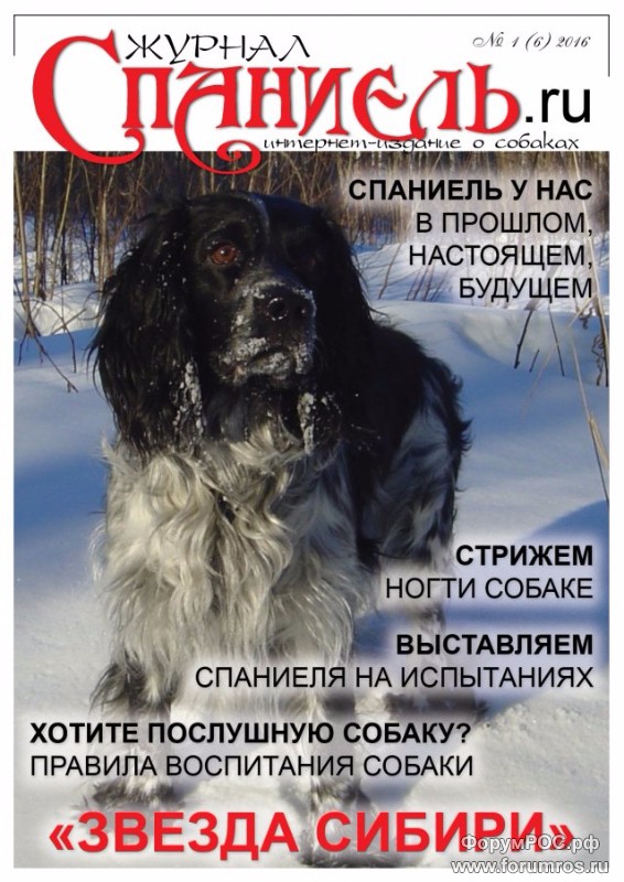 JournalSpaniel_2016_6_639x903.jpg