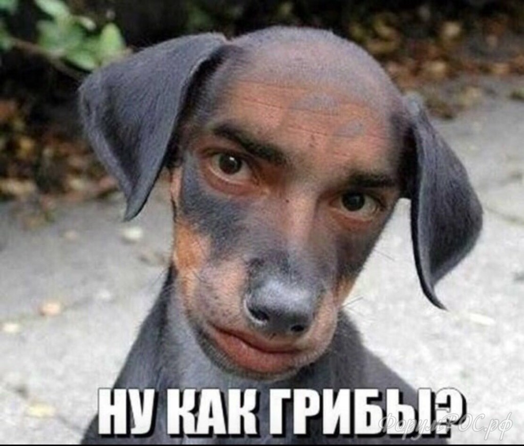 B8D13D8E-234A-4E09-9B79-791F7440246E.jpeg