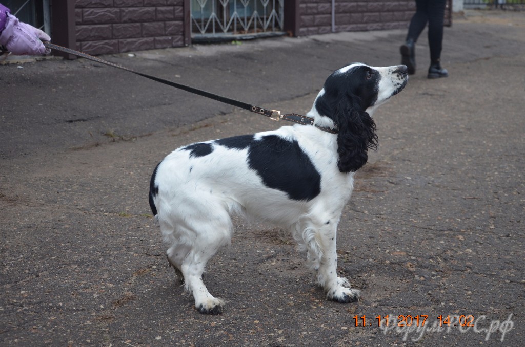 DSC_0325.JPG