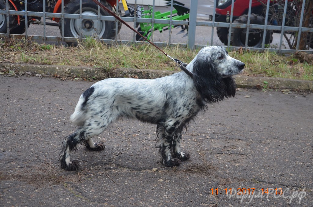 DSC_0335.JPG