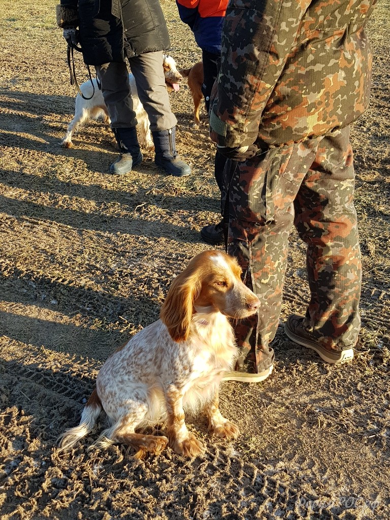20171125_101409.jpg