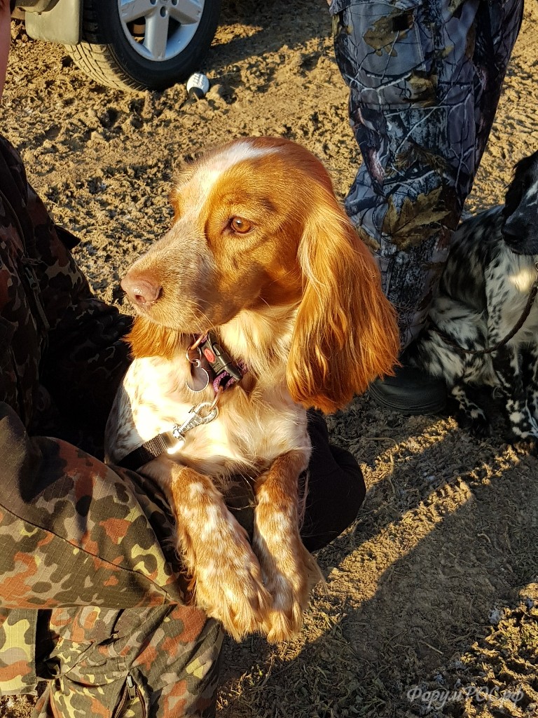 20171125_102018.jpg