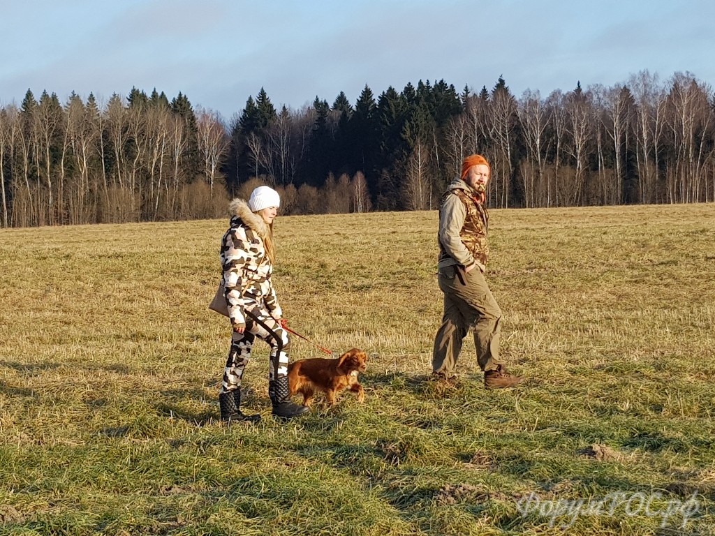 20171125_102847.jpg