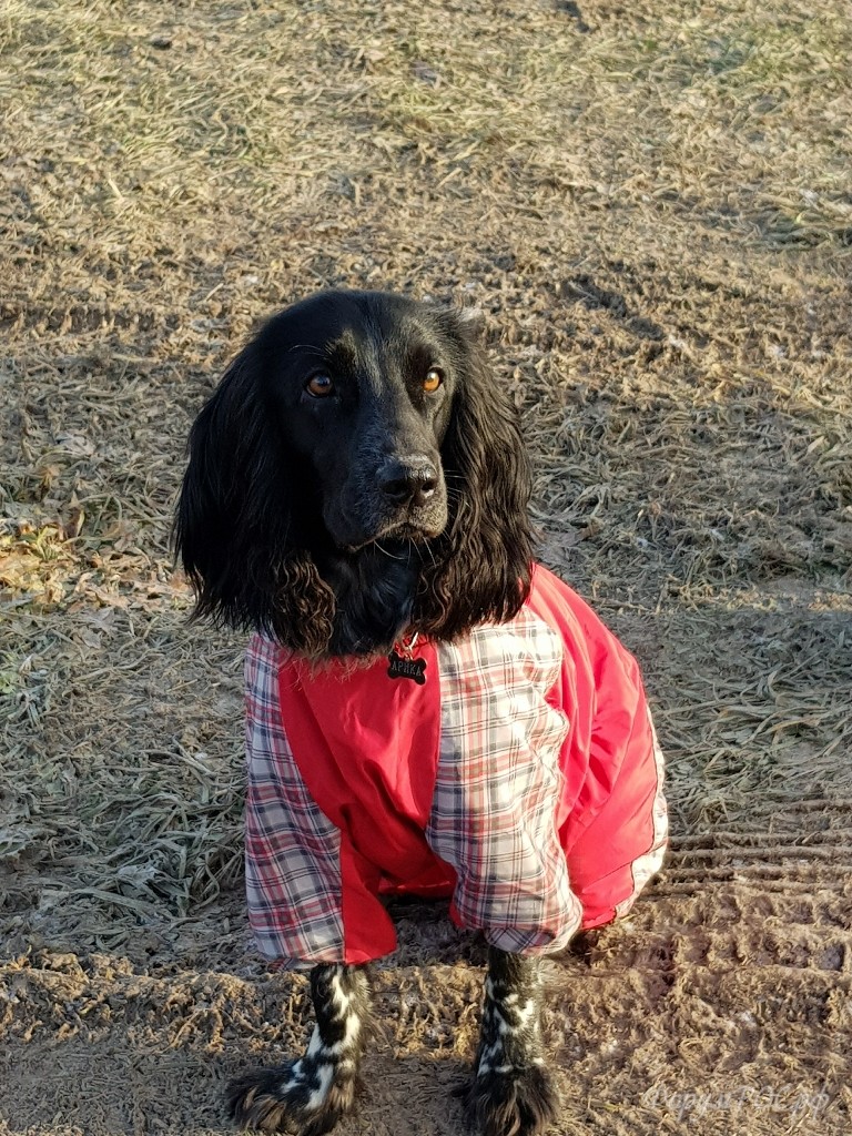 20171125_103323.jpg
