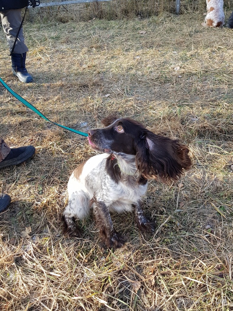 20171125_112858.jpg