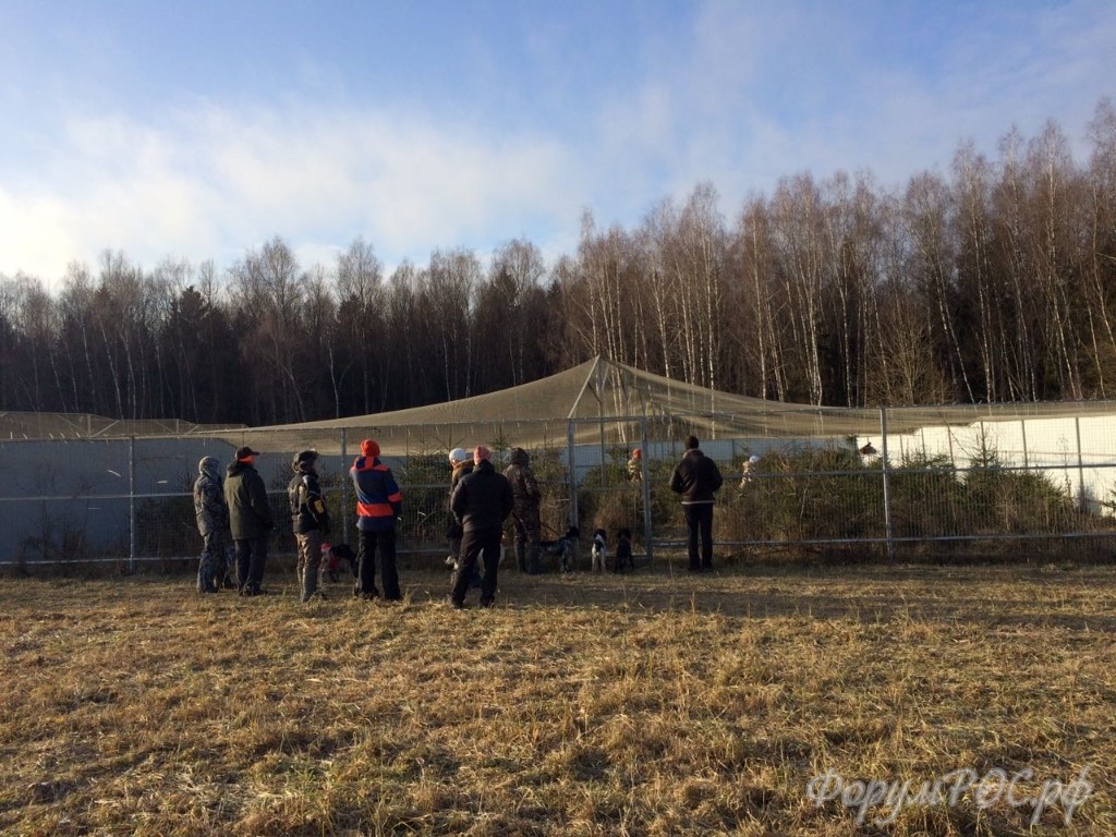 IMG-20171125-WA0017.jpg