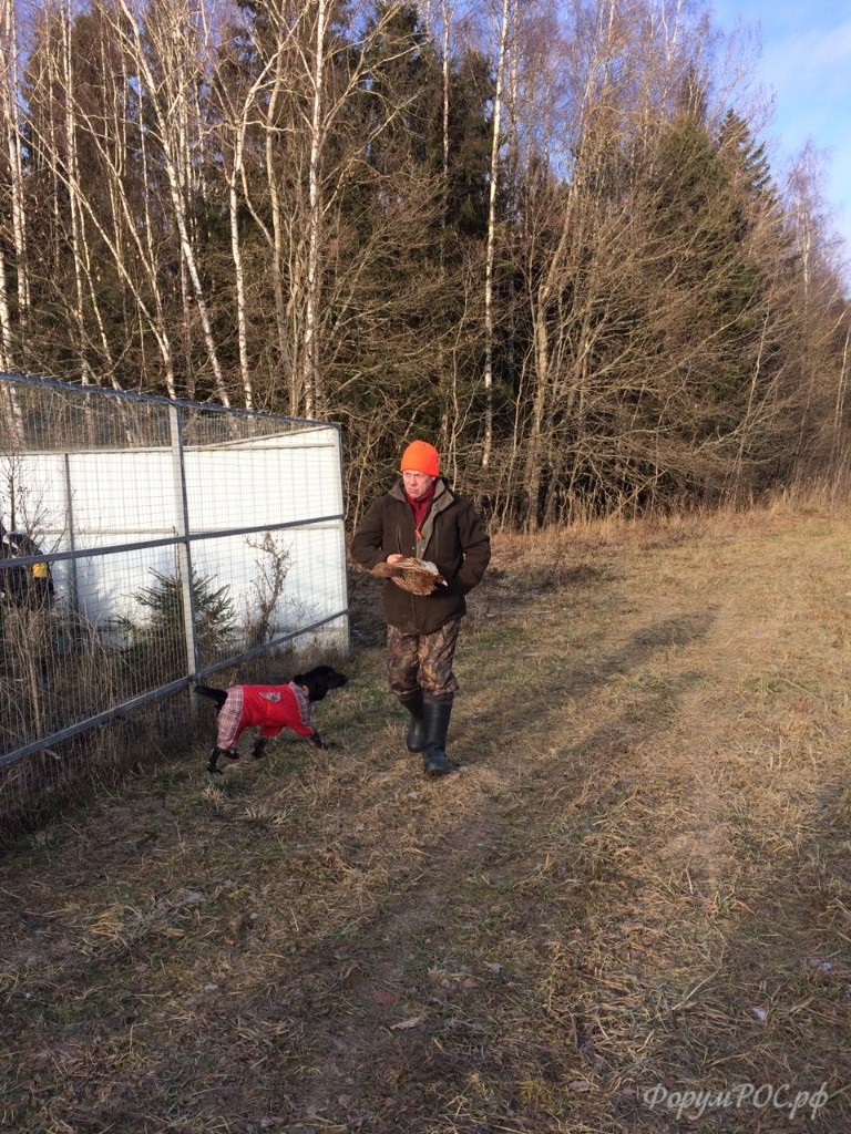 IMG-20171125-WA0039.jpg