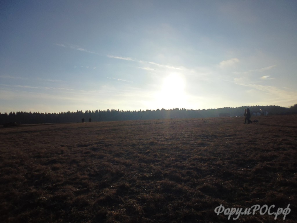 P1010037.JPG