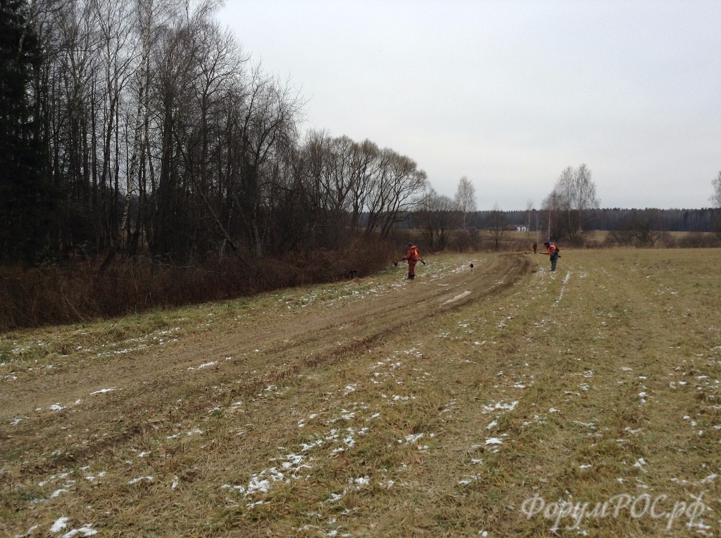 IMG-5672.JPG