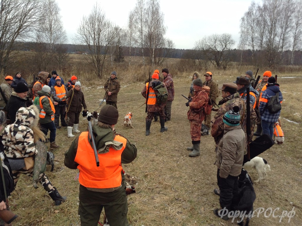 IMG-5690.JPG