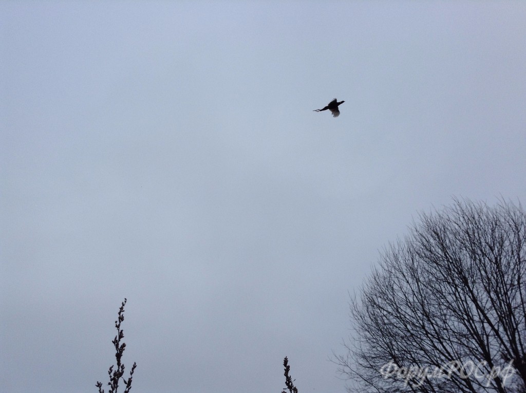 IMG-5693.JPG